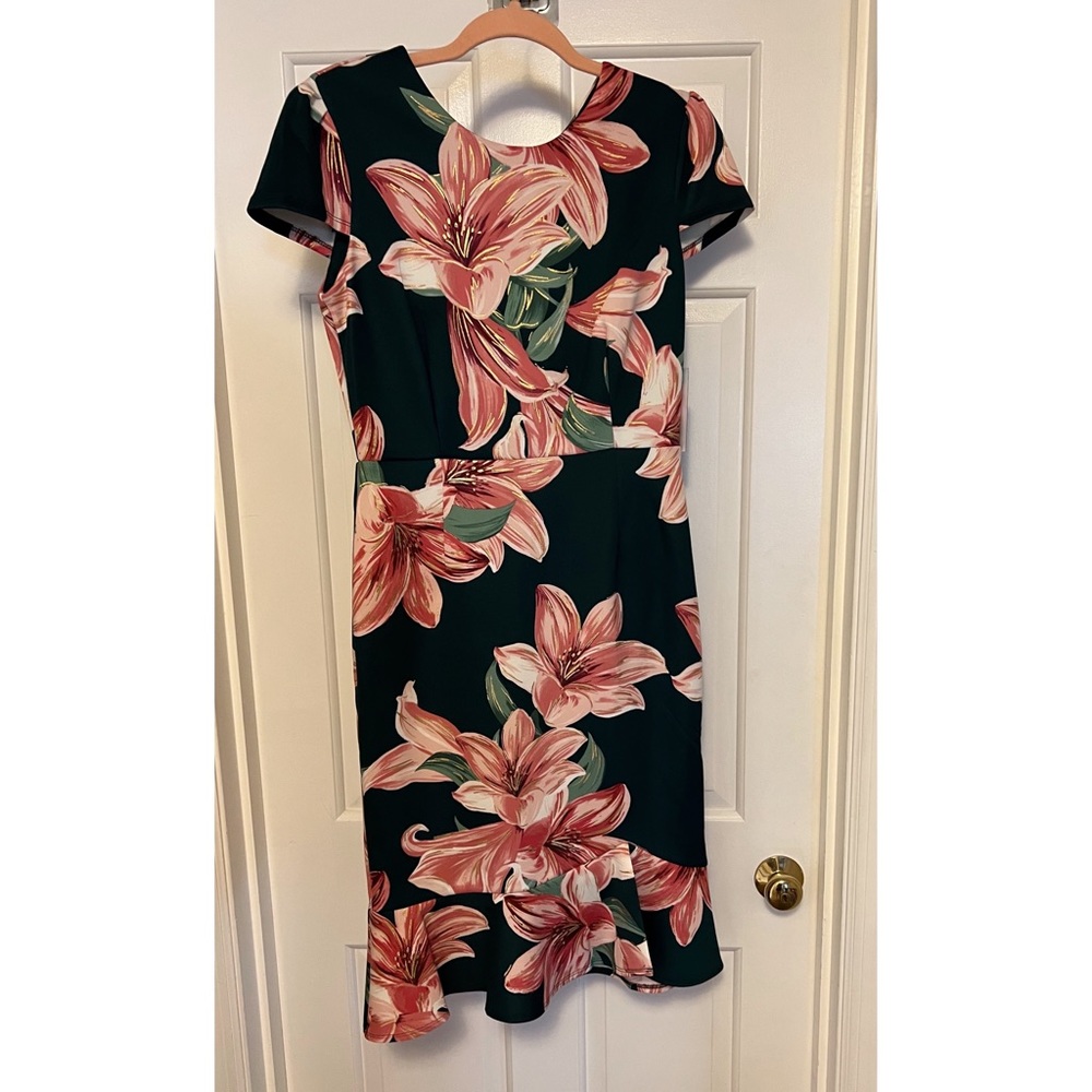 NWT Green & Pink Floral Dress, Size 8